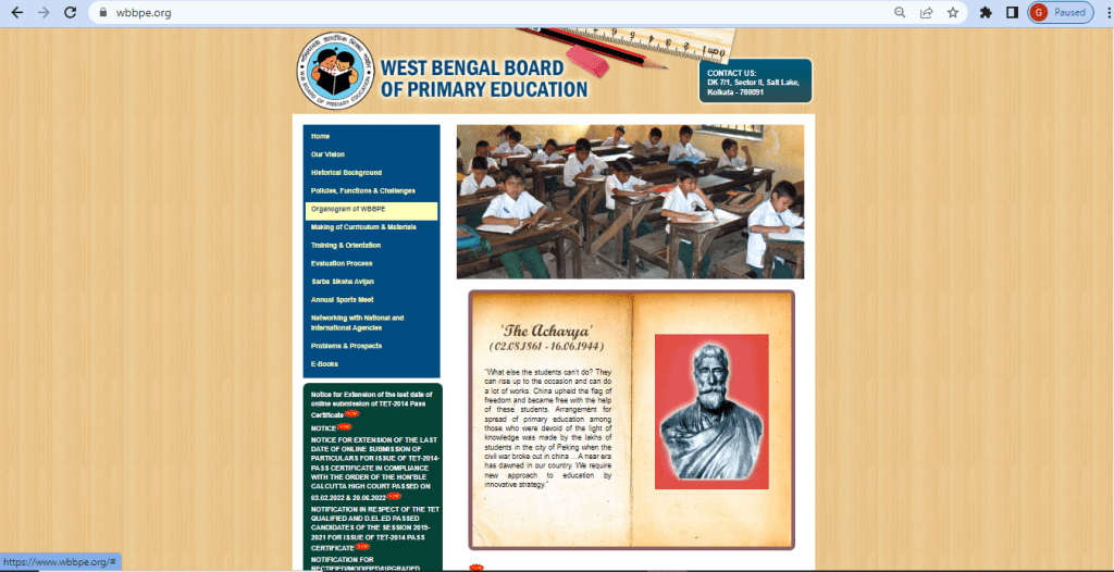 Primary TET